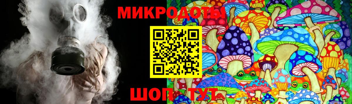 Галлюциногенные грибы Psilocybe Гусев